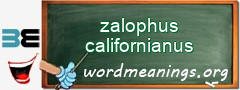 WordMeaning blackboard for zalophus californianus